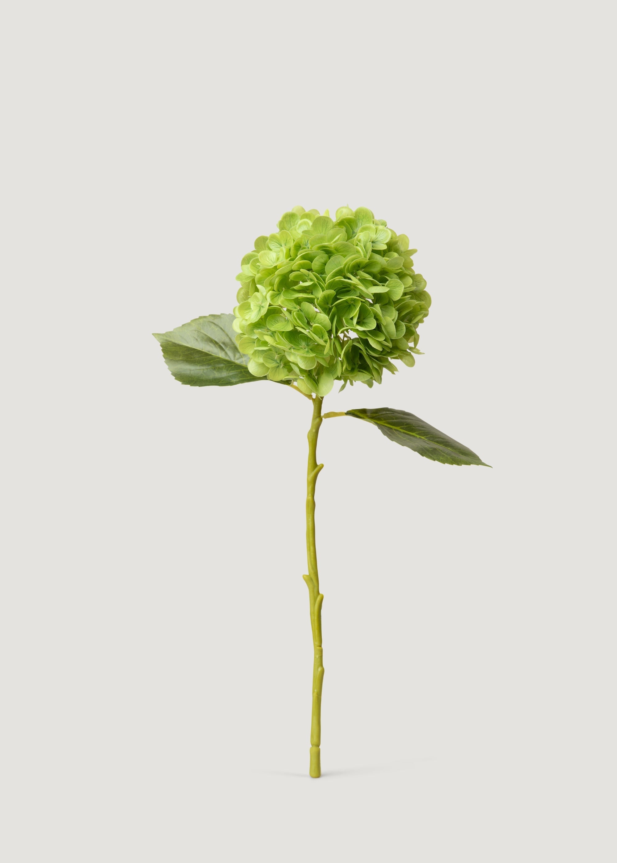 Hydrangea Real Touch Fake Flower in Green - 18.5"