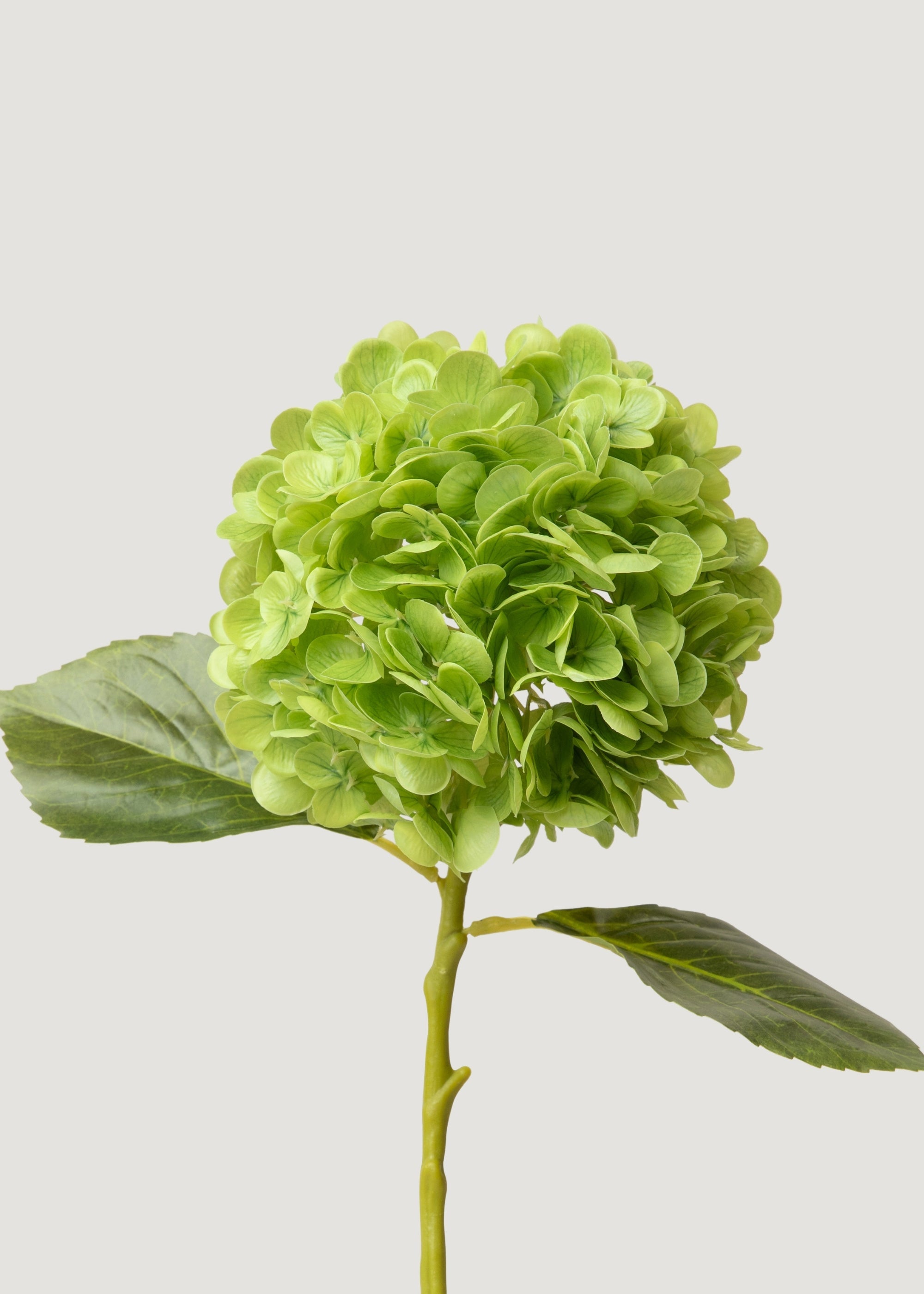 Hydrangea Real Touch Fake Flower in Green - 18.5"