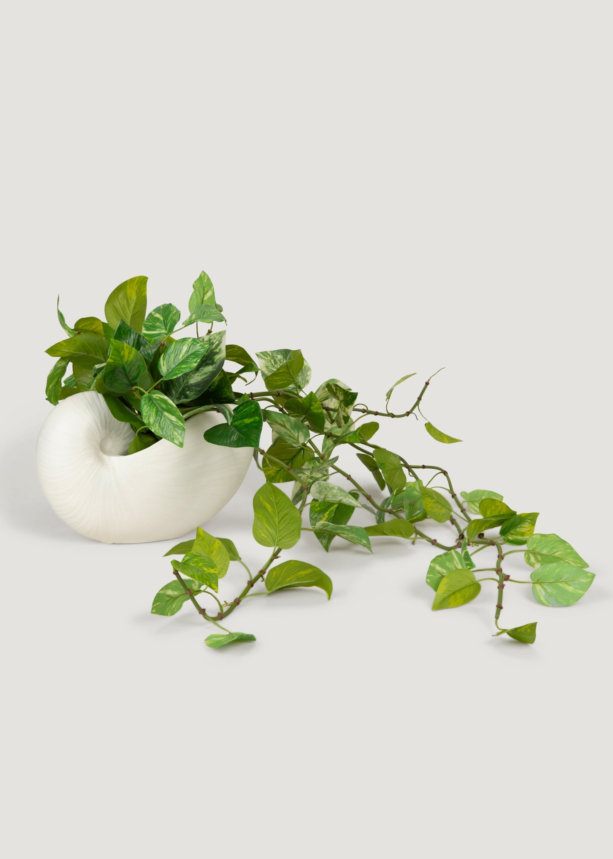 Table Decor Resin Shell Vase in Cream - 8"