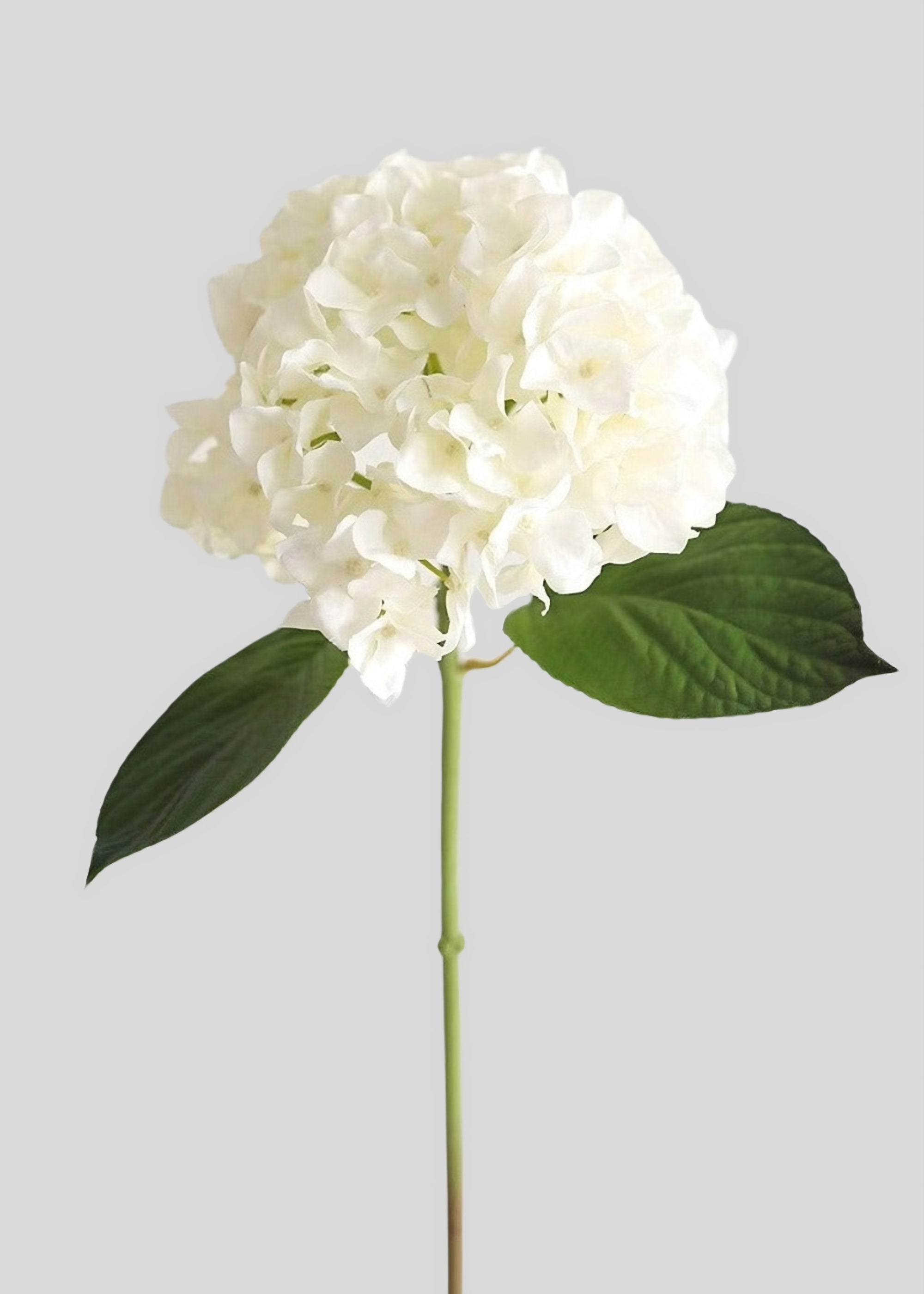 Fake Flowers Real Touch Hydrangea Stem in Talc White  - 18"