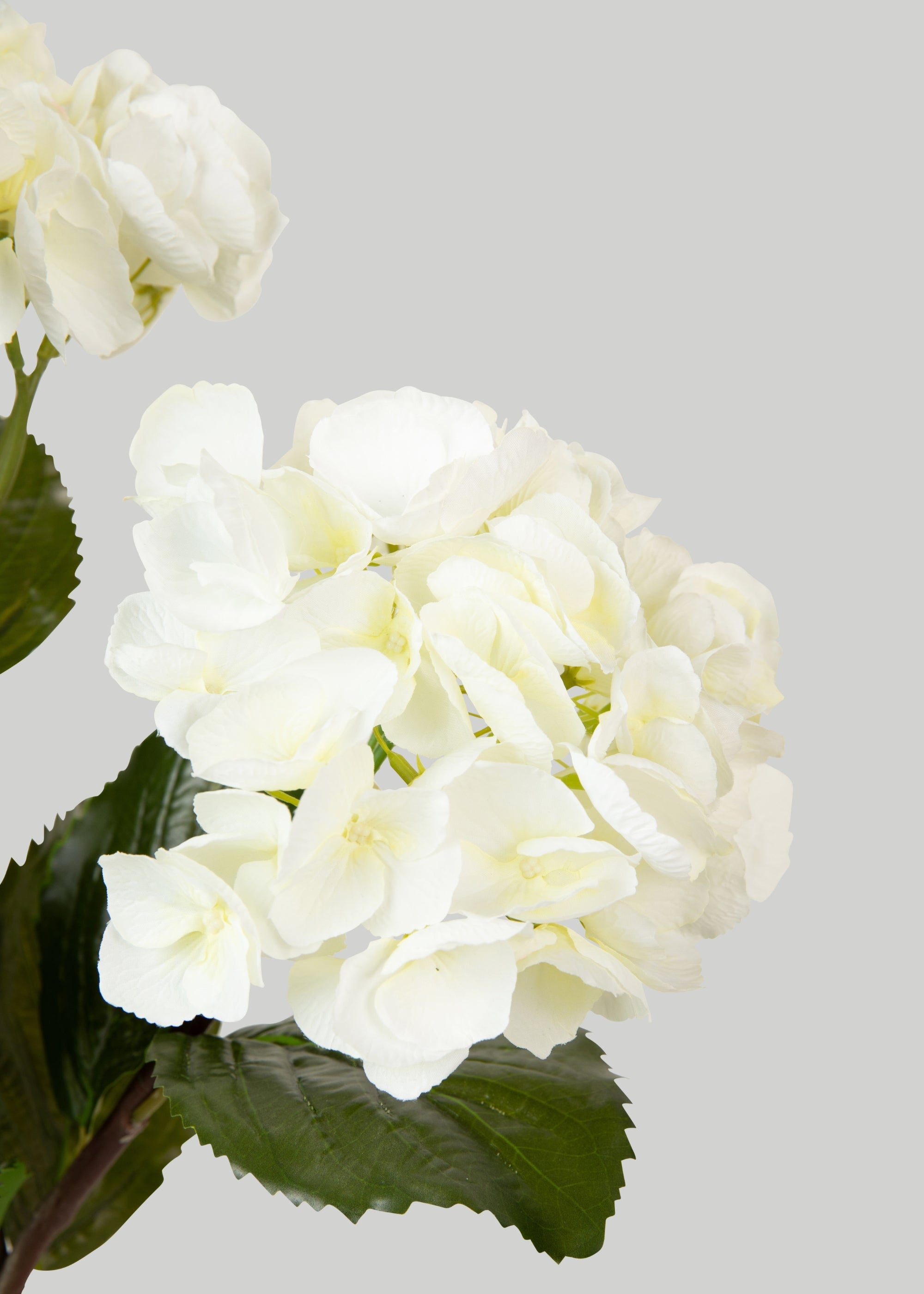 Large Artificial Hydrangea in Cream White - 20"