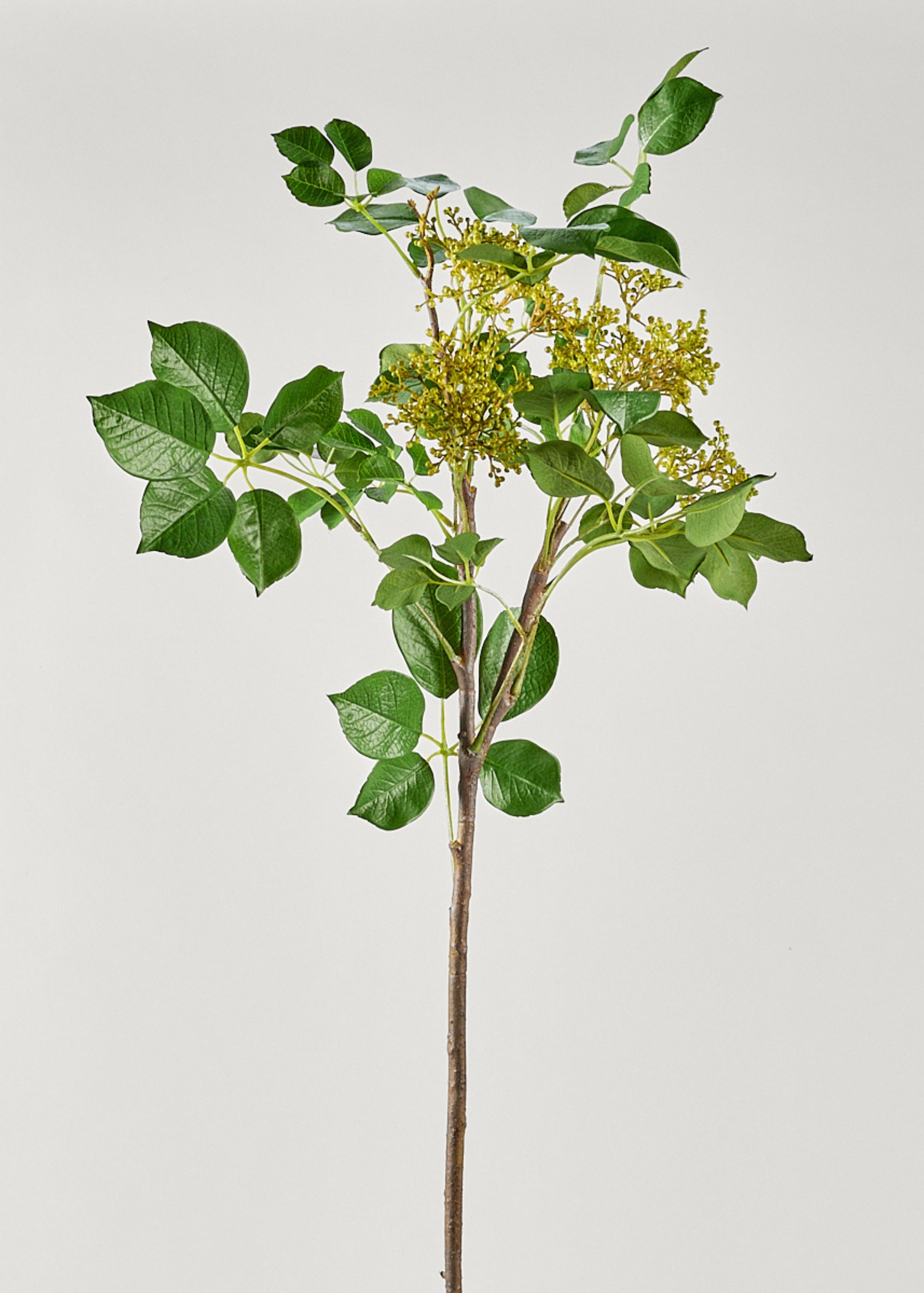 Tall Artificial Seeded Privet Branch - 46"