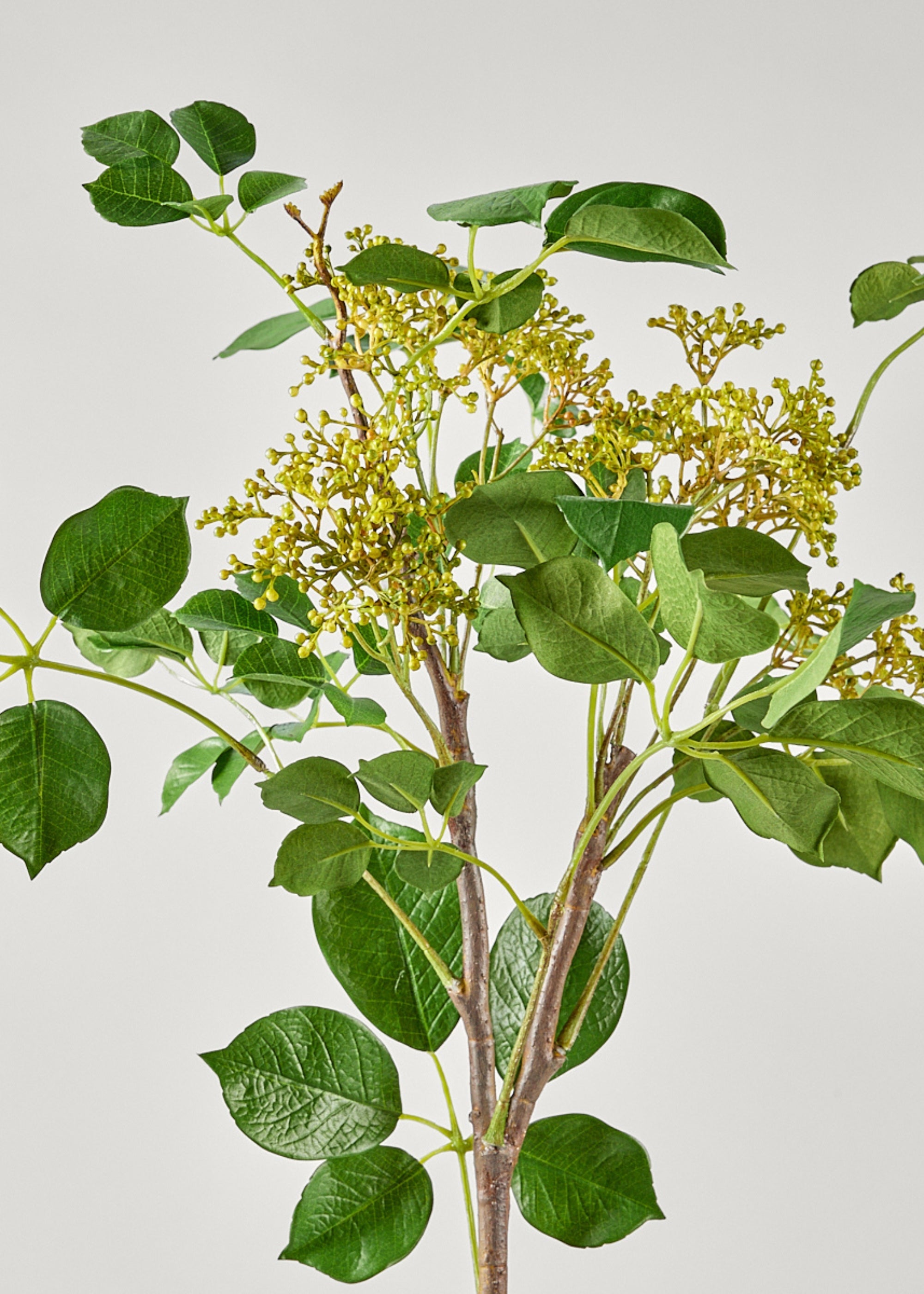 Tall Artificial Seeded Privet Branch - 46"