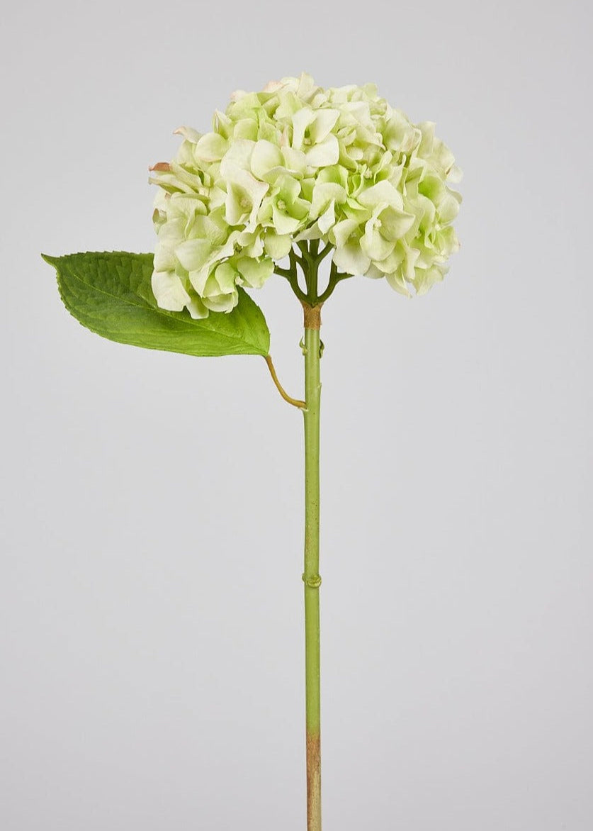 SALE - Artificial Flowers French Country Green Real Touch Hydrangea Stem - 18"