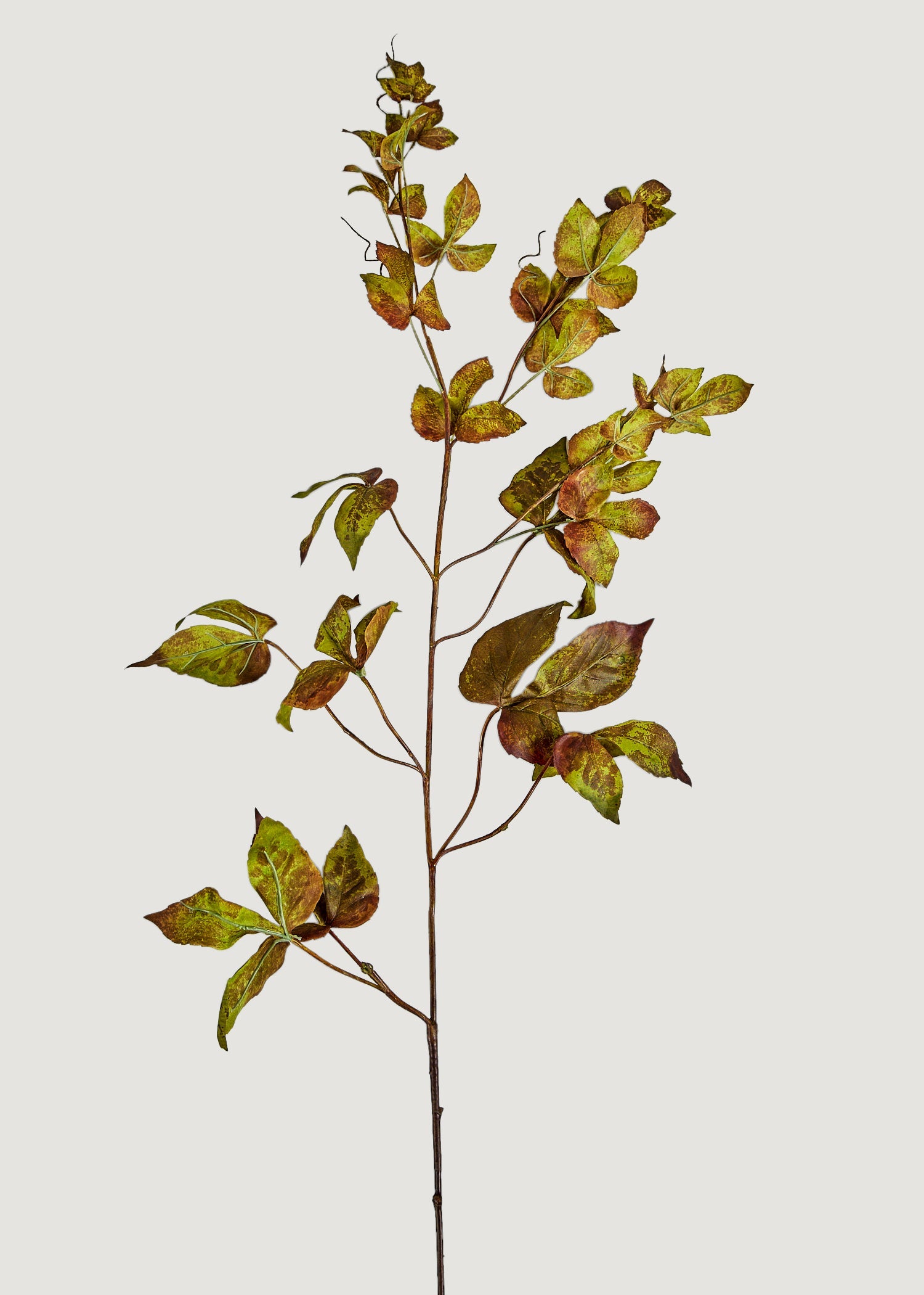 Faux Grape Ivy Garland Stem in Green Eggplant - 48"