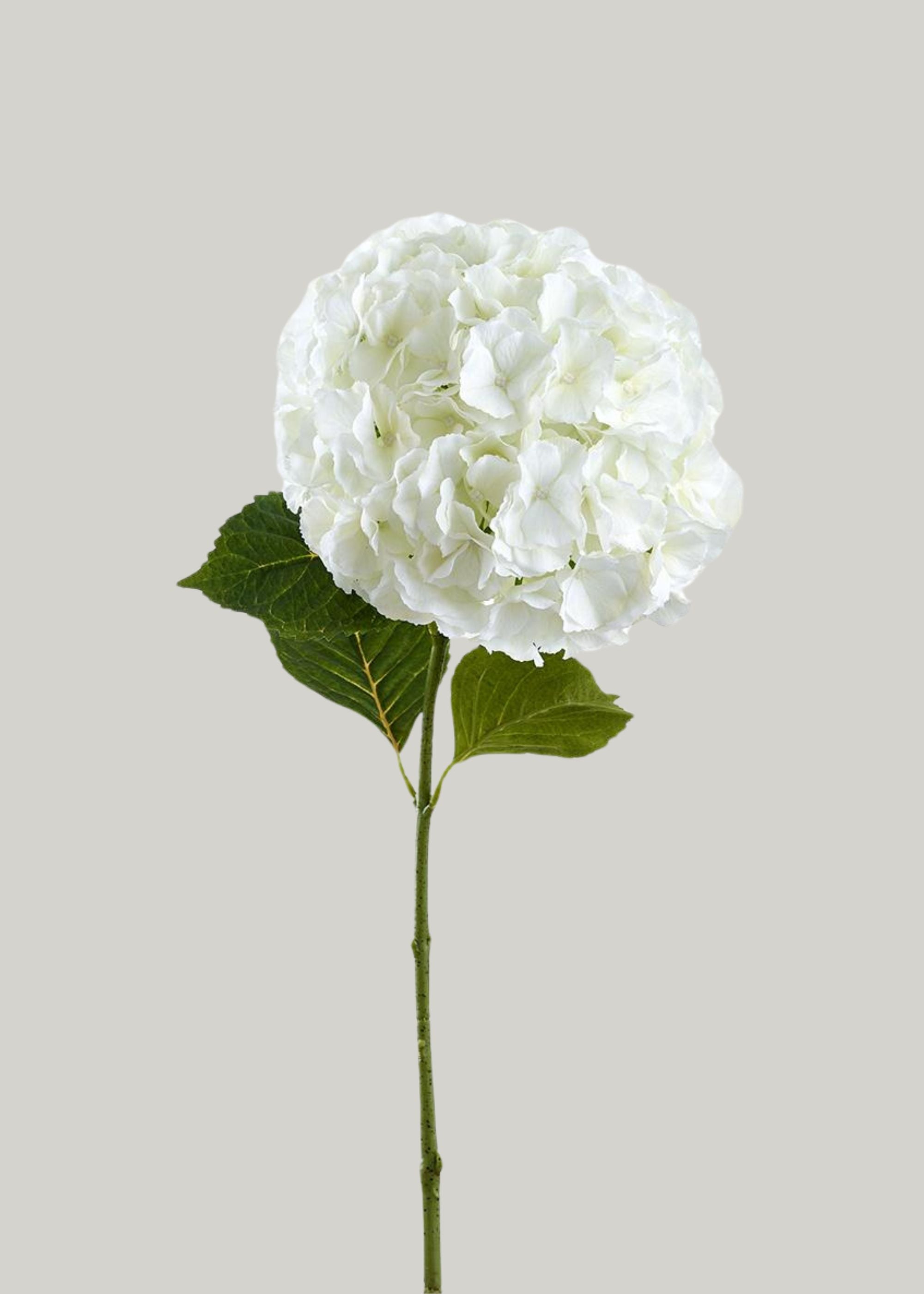 Large White Hydrangea Artificial Flower - 34"