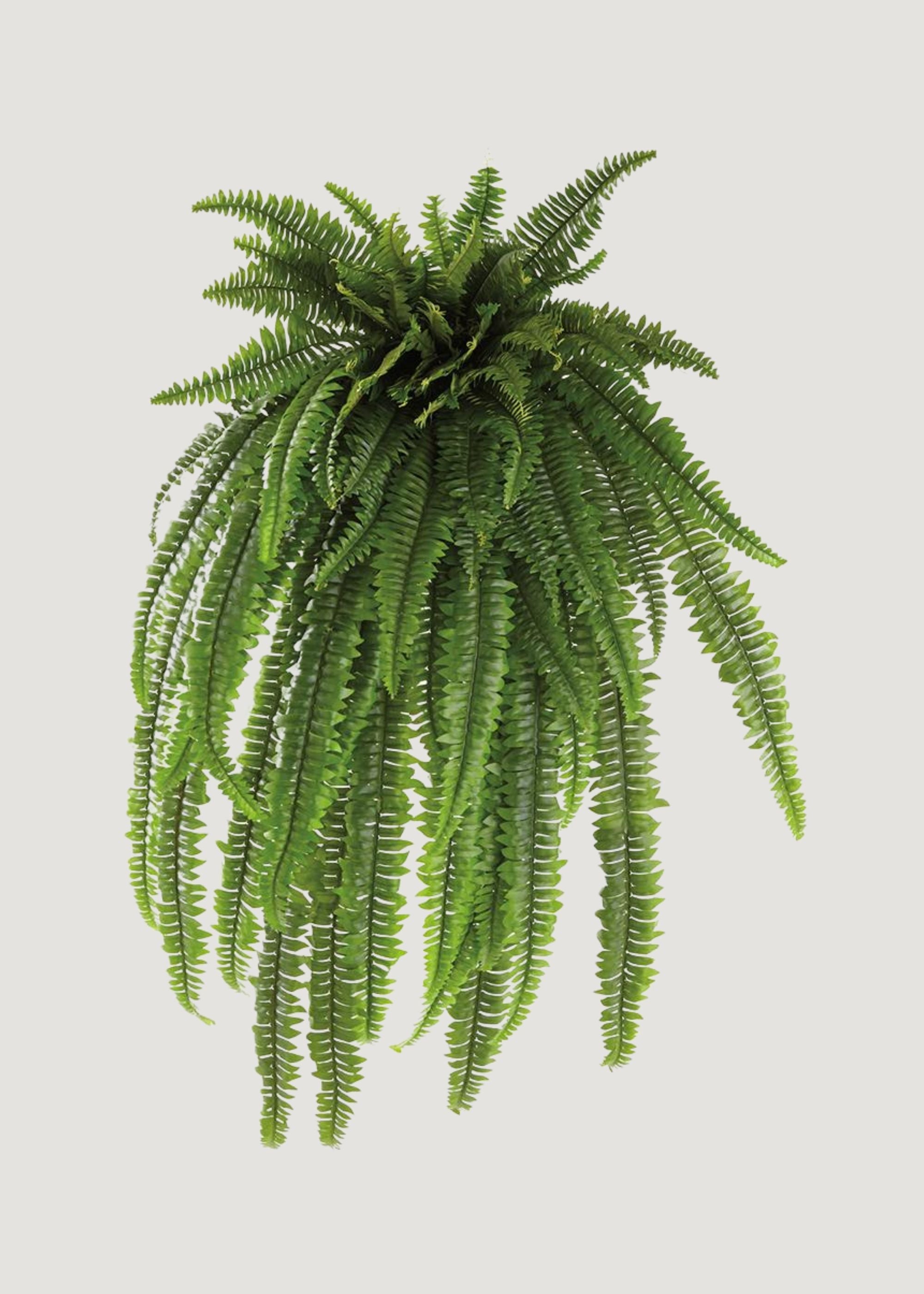 The Grand Dame Deluxe Artificial Estate Fake Fern - 52"