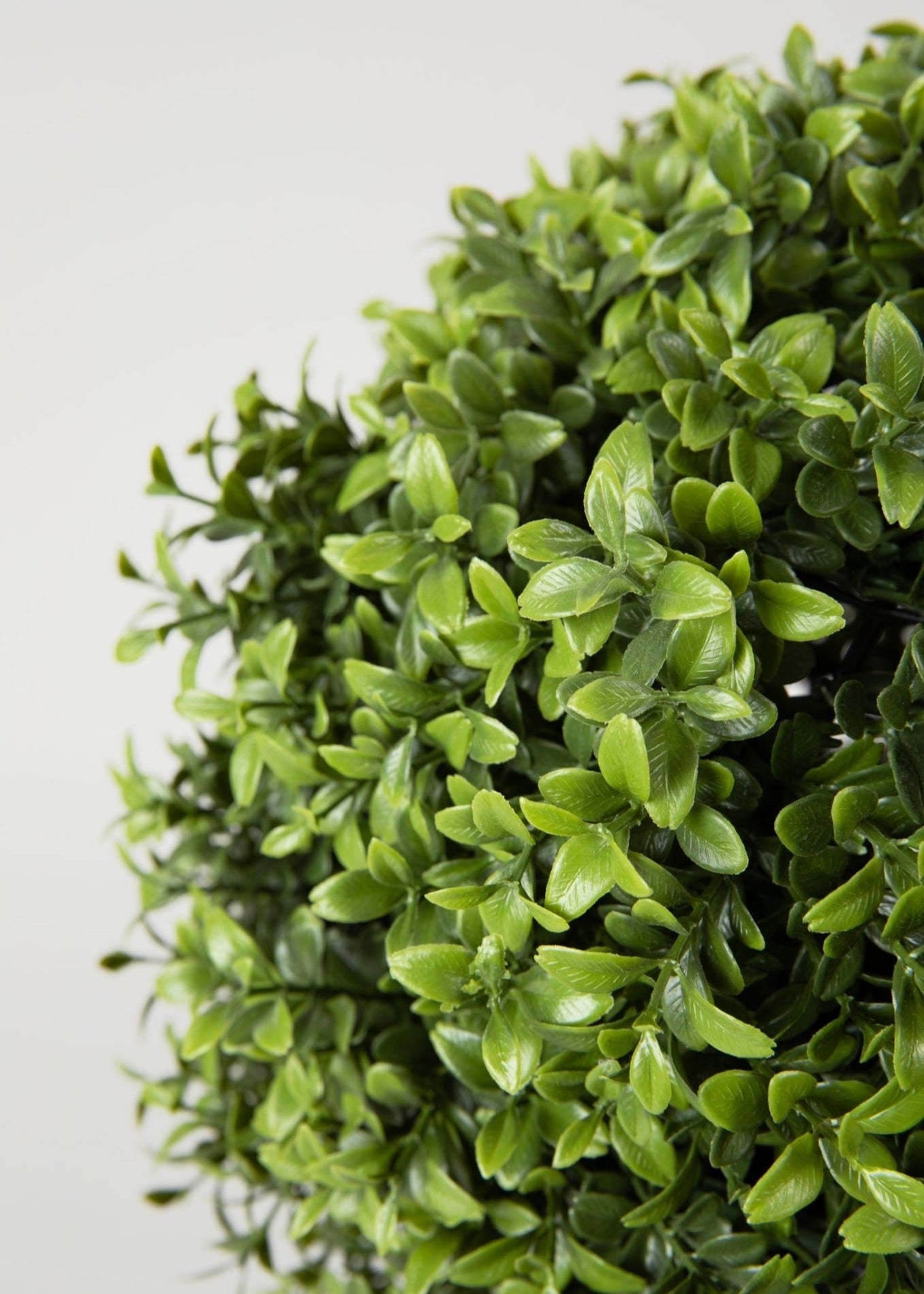 SALE - UV Treated Outdoor Boxwood Topiary Fake Plant in Pot - 22"