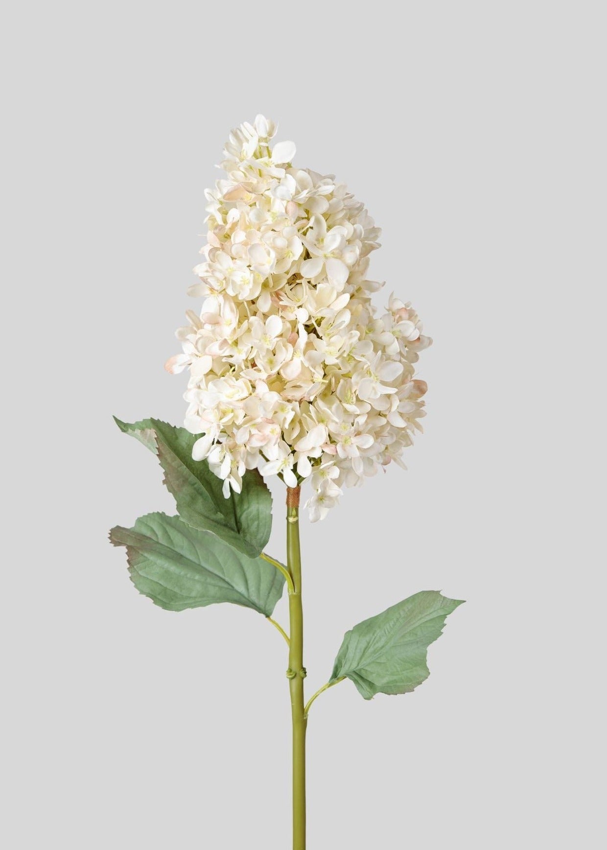 SALE - Large Deluxe Faux Dried  Cone Hydrangea in Parchment