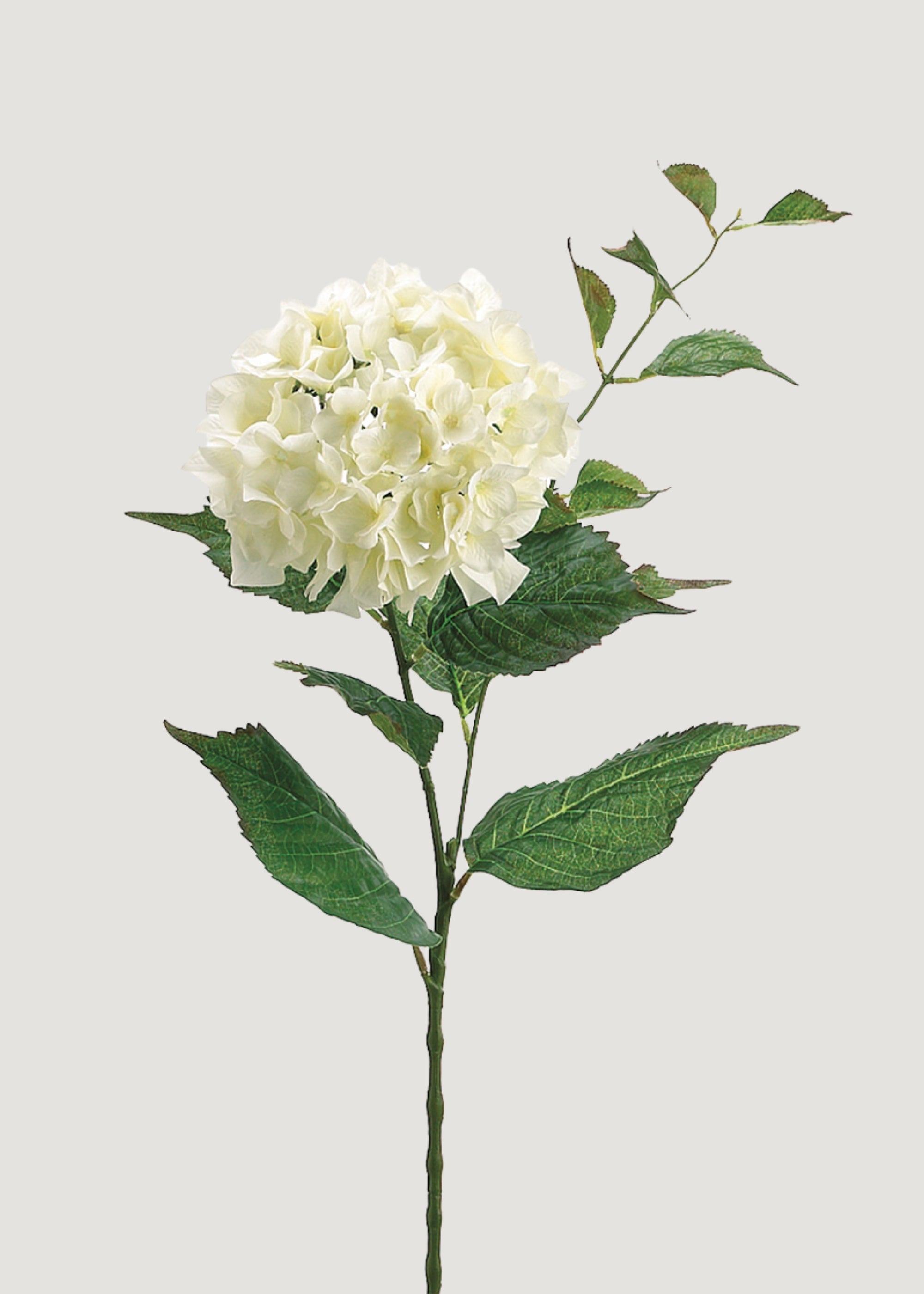 Fake Hydrangea Flower in Cream White - 34"